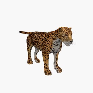 3D Jaguar model