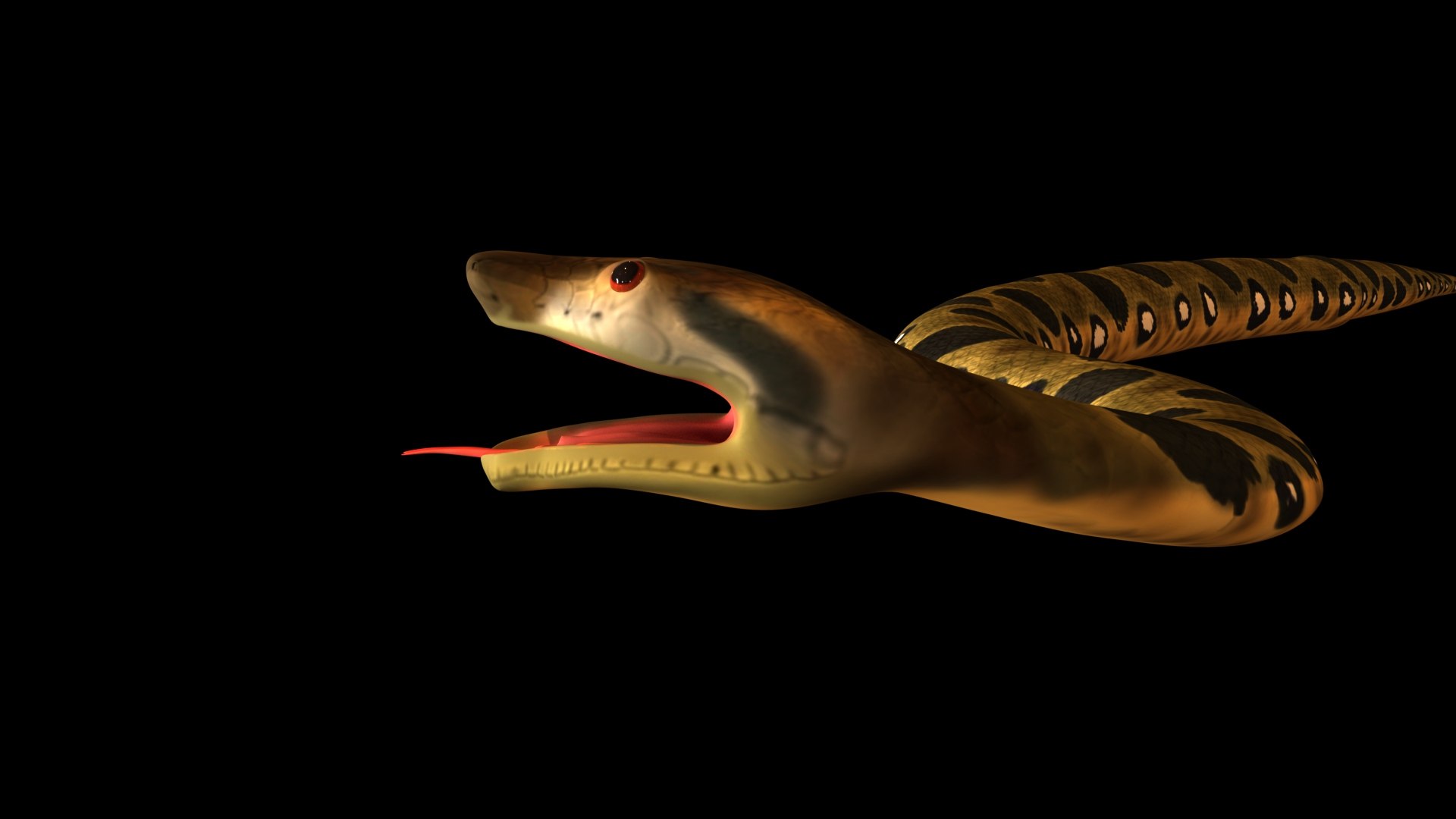 python model https://p.turbosquid.com/ts-thumb/kh/ndXbUg/GQ/p3/jpg/1776444616/1920x1080/fit_q87/d982e0738c37b2147c191d3252d312934a6196cf/p3.jpg