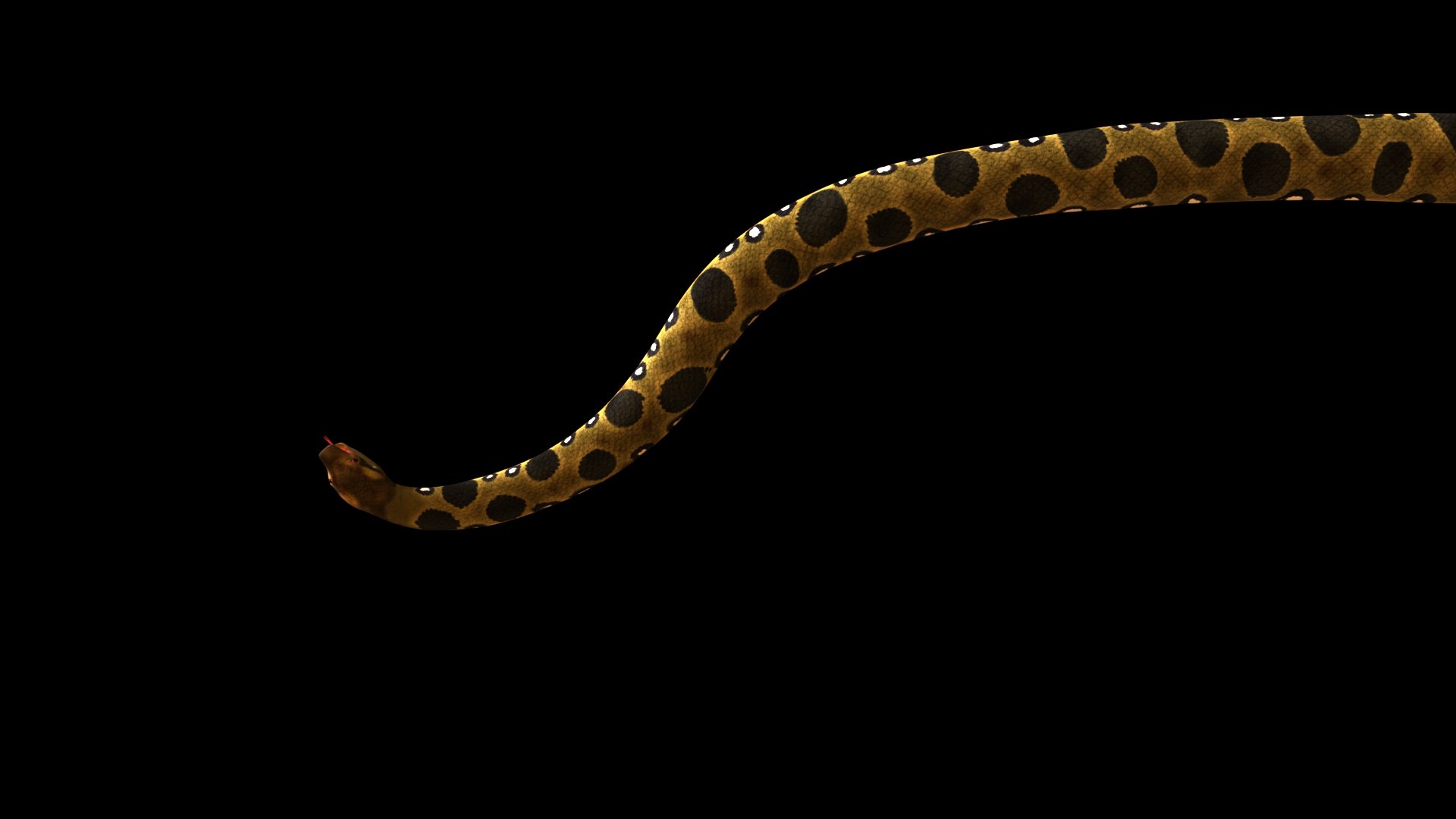 python model https://p.turbosquid.com/ts-thumb/kh/ndXbUg/cy/p4/jpg/1776444616/1920x1080/fit_q87/bd53f4b5fe03c472f9b5d4a728d151322d461a2b/p4.jpg