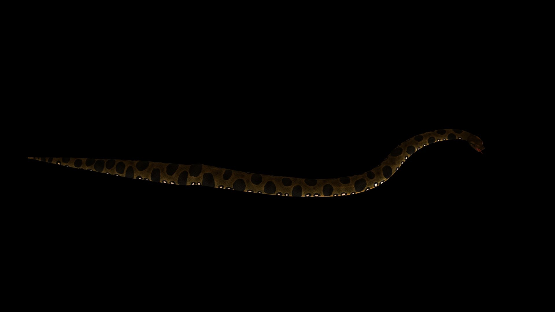 python model https://p.turbosquid.com/ts-thumb/kh/ndXbUg/wT/p1/jpg/1776444614/1920x1080/fit_q87/3c545fb4ded9bc3b999eccd2705bad4cee611e9e/p1.jpg
