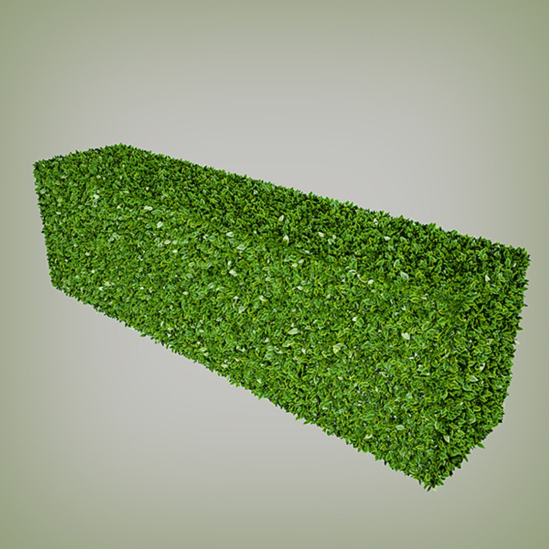 3d Hedge Multiscatter