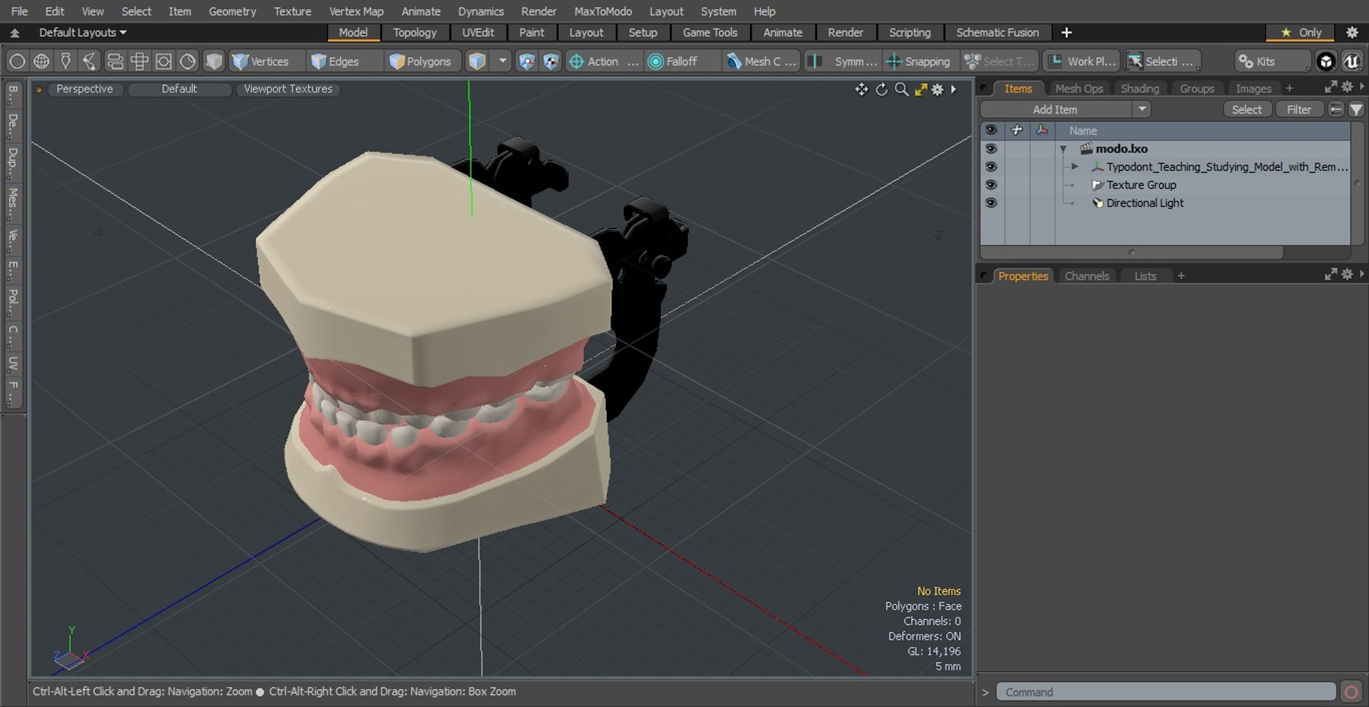 3d Model Typodont Teaching Studying Model With Removable Underbite 