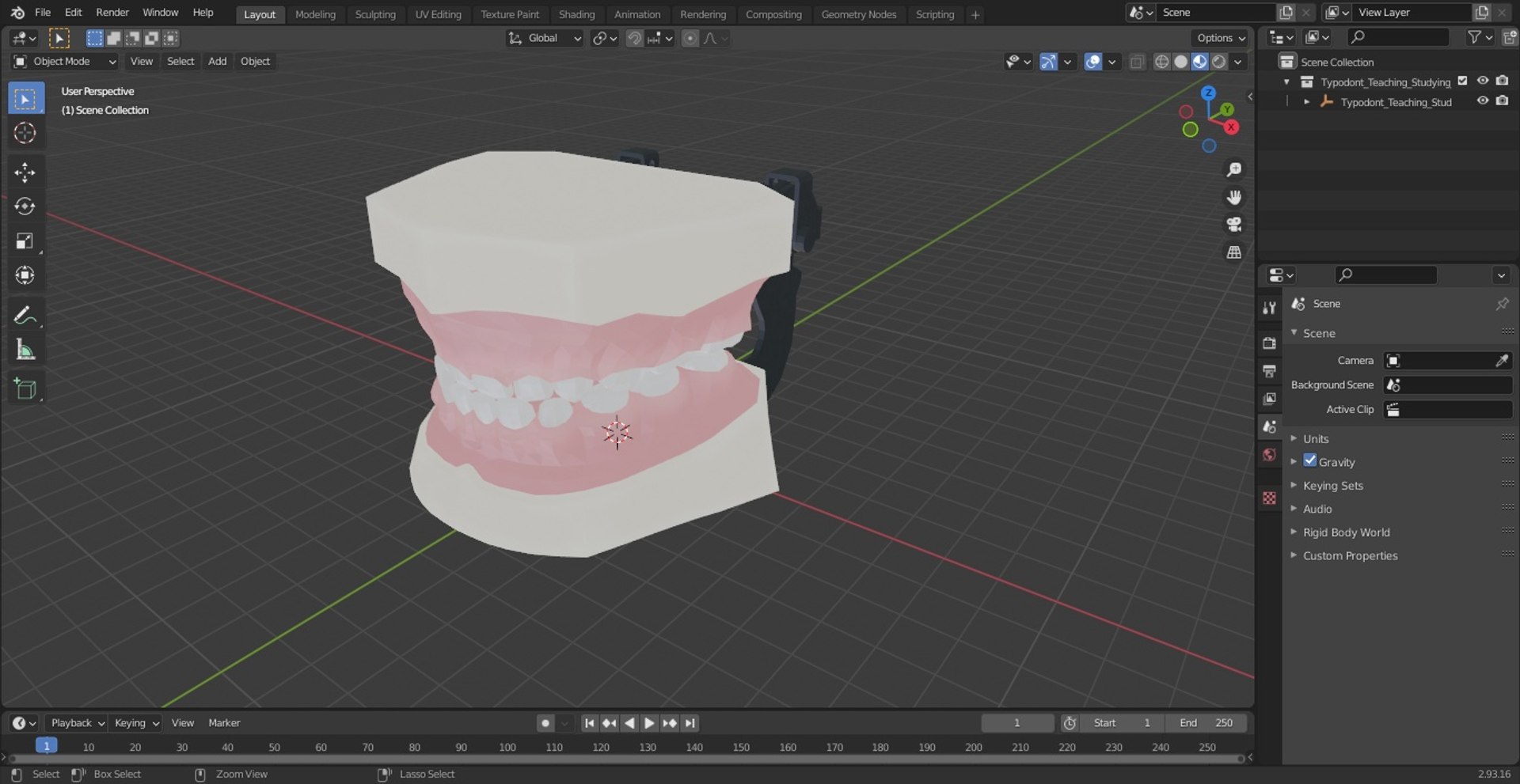 3D Model Typodont Teaching Studying Model With Removable Underbite ...