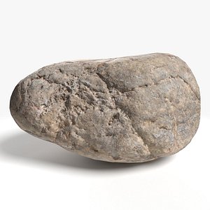 3D River Stone 03 StemCell