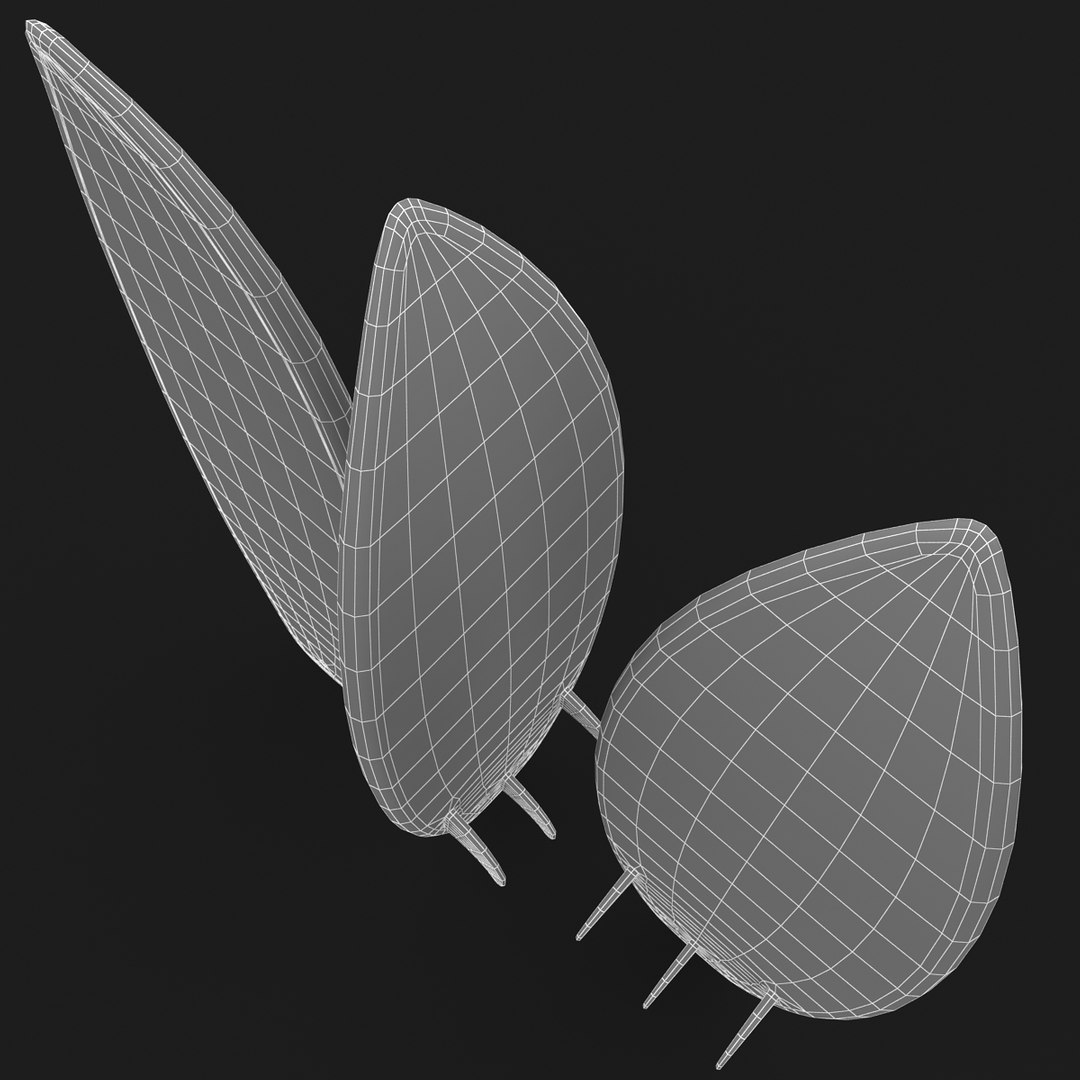 realistic surfboard max https://p.turbosquid.com/ts-thumb/ki/B1QrBy/m5VnB1ks/15/jpg/1424355922/1920x1080/fit_q87/14e4fb8b3c053fe674fb1f8d51fe77569c9550ee/15.jpg