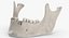 Real Human Jawbone Mandible 01 White