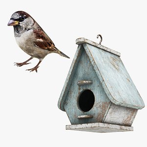 Sparrow and Bird House Collection
