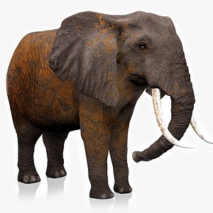 African Elephant RIGGED L2380 3D model