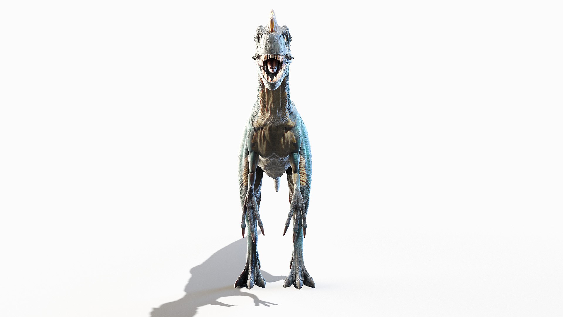 3D Proceratosaurus Animated model https://p.turbosquid.com/ts-thumb/ki/bgfJHS/5n/proceratosaurus0003/jpg/1653395940/1920x1080/fit_q87/af4d0e411264ad66ecb19ebdd657f95e363bffce/proceratosaurus0003.jpg