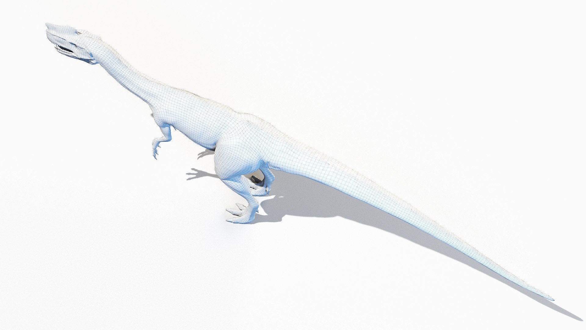 3D Proceratosaurus Animated model https://p.turbosquid.com/ts-thumb/ki/bgfJHS/Bn/proceratosaurus_wire0004/jpg/1653395941/1920x1080/fit_q87/38d9a099b4223966cb1440b323f11f140a038cb2/proceratosaurus_wire0004.jpg
