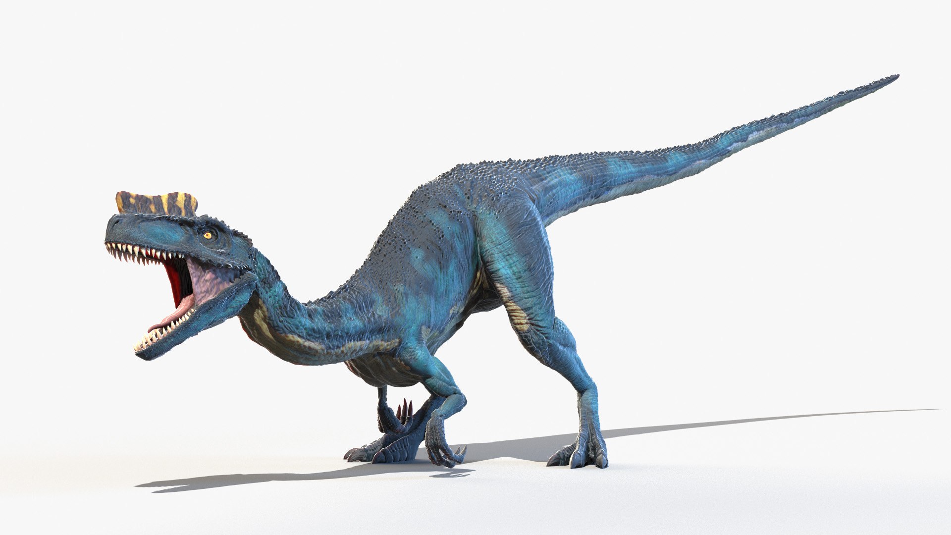 3D Proceratosaurus Animated model https://p.turbosquid.com/ts-thumb/ki/bgfJHS/ZL/proceratosaurus_animated_poses0086/jpg/1658129833/1920x1080/fit_q87/228bbca6b98c78d7872254dde2dda980af38bc13/proceratosaurus_animated_poses0086.jpg