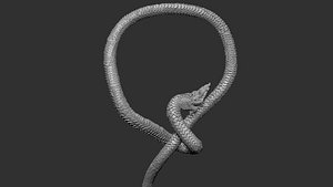 Dragon King Asia Khmer Thai 3D