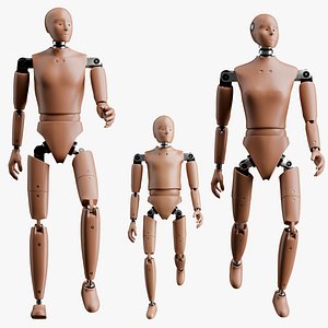 Rigged Crash Test Male Female and Child Dummy