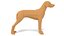 3D model Low Poly Cartoon Hungarian Vizsla Dog