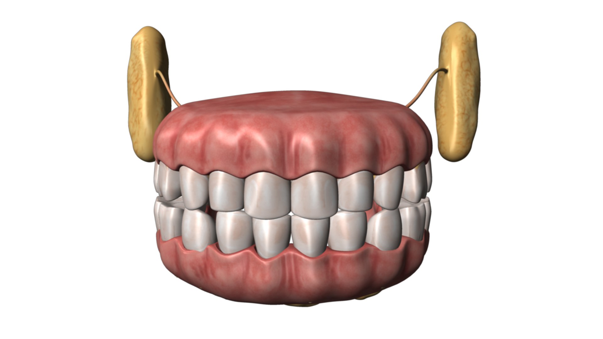 mouths teeth 3d model https://p.turbosquid.com/ts-thumb/kj/3HRWuO/D6d4j5CR/teeth_01/png/1415635103/1920x1080/fit_q87/0bfe8e2f96c1b108307bdf354b38c163a0d1b4da/teeth_01.jpg