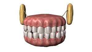 Teeth