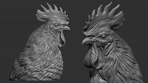 3D Rooster bust