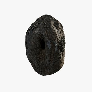3D Anydrafts Rhododendron lapponicum Burl 01