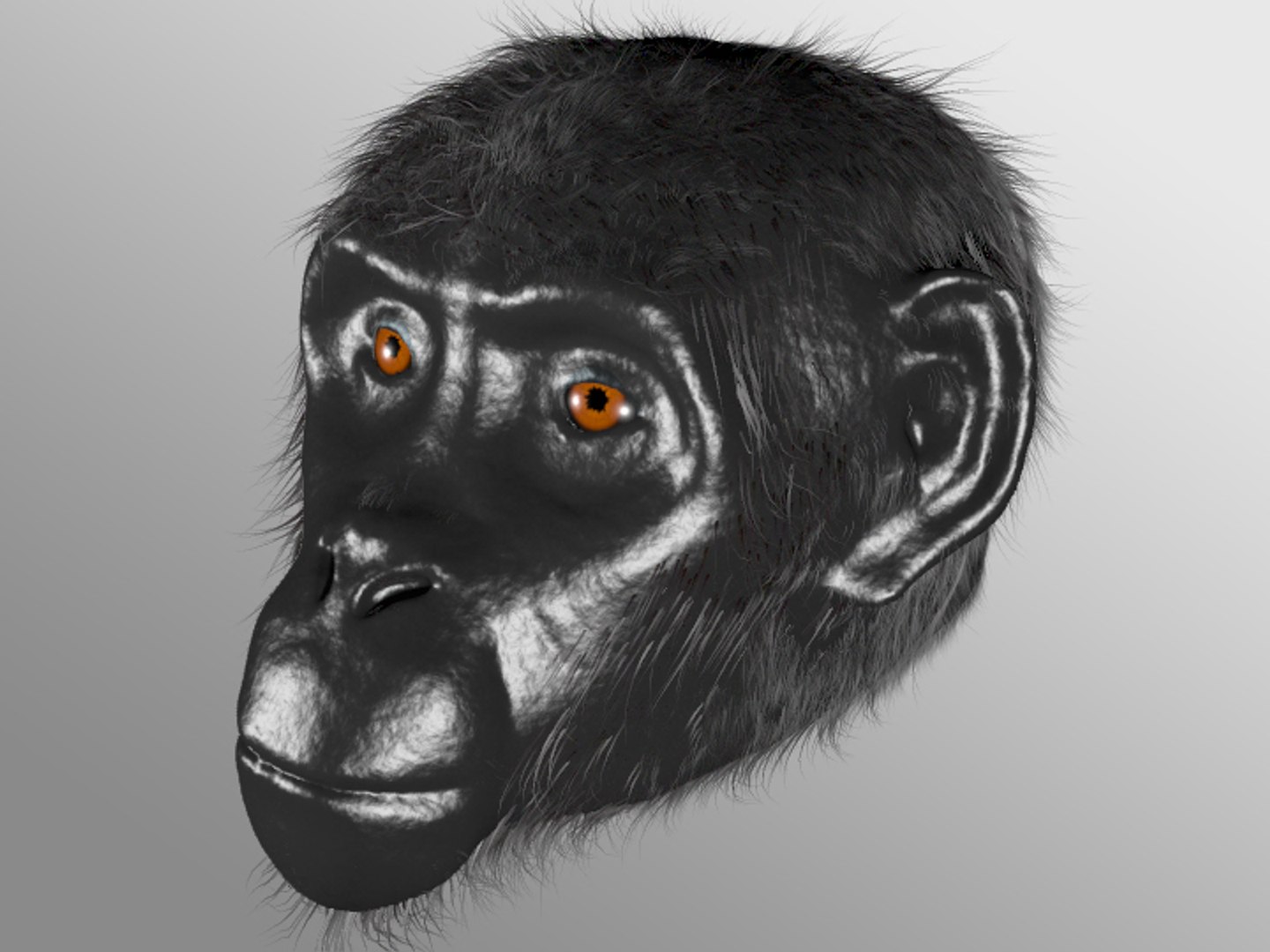 Obj Ape Head