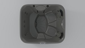 3D Sundance Spas Paisley