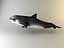 artic dolphin 3d 3ds
