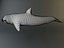 artic dolphin 3d 3ds