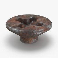 Phillips Head Screw Dirty