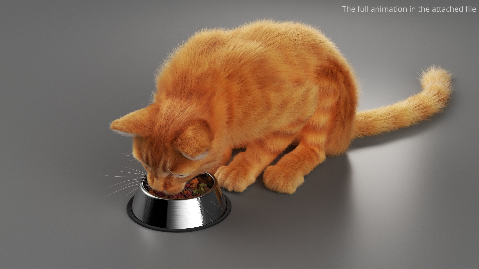 Ginger House Cat Fur Set Animated Rigged For Maya 3D model https://p.turbosquid.com/ts-thumb/kj/bvruJw/OJ/ginger_house_cat_fur_set_animated_rigged_for_maya_363/jpg/1788823264/1920x1080/turn_fit_q99/3e0abefb7d4f75c00670301ff55ee059ed0155c0/ginger_house_cat_fur_set_animated_rigged_for_maya_363-1.jpg