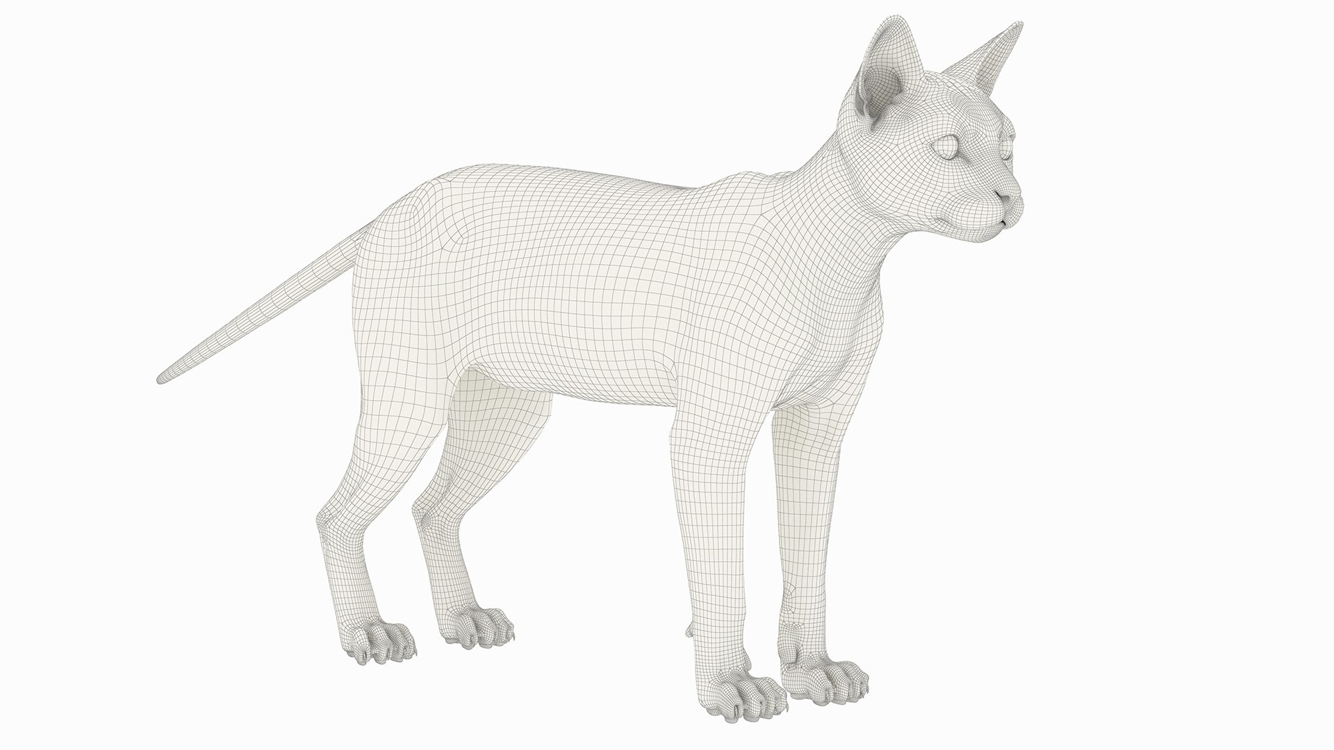 Ginger House Cat Fur Set Animated Rigged For Maya 3D model https://p.turbosquid.com/ts-thumb/kj/bvruJw/m8/ginger_house_cat_fur_set_animated_rigged_for_maya_021/jpg/1788823783/1920x1080/fit_q87/c6e72efa04aa2d37b2b0cb3b4be8826cda02d813/ginger_house_cat_fur_set_animated_rigged_for_maya_021.jpg