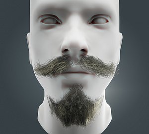 Beard RealTime 11 Version 2 3D