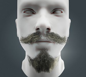 Beard RealTime 11 Version 2