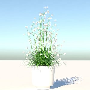 3D Flower and Pot model
