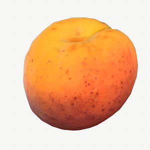 05 apricot fruit modeled 3D model