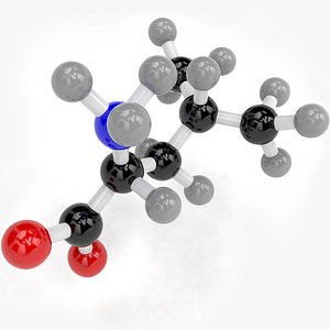max leucine molecule