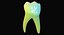 primary molar lower 3d max