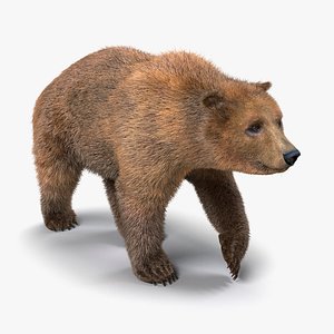 brown bear fur pose 3d model