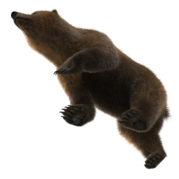 brown bear fur pose 3d model