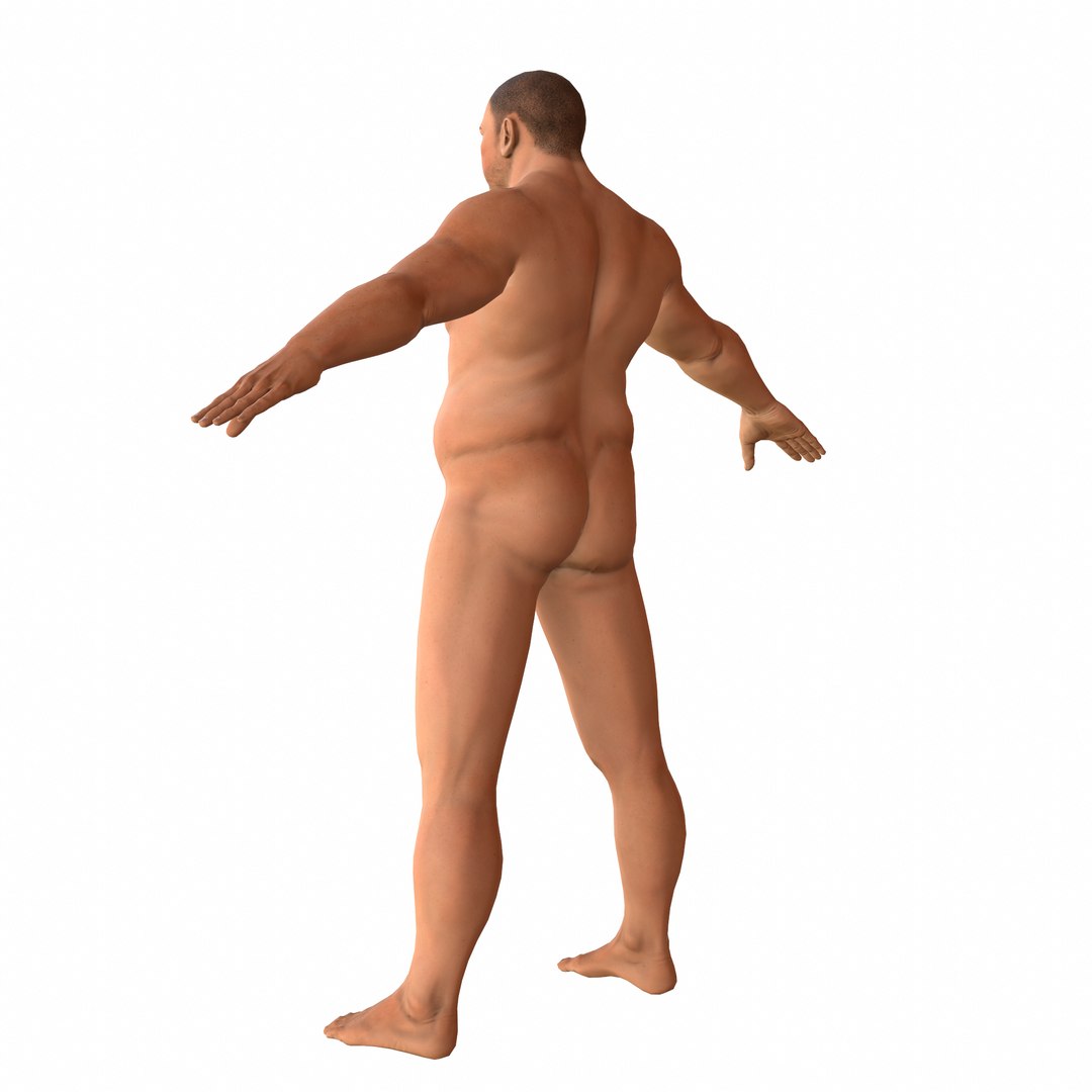 fat rigged 3D model https://p.turbosquid.com/ts-thumb/kk/ZeKBBt/LkbaTwx8/26/png/1540308306/1920x1080/fit_q87/58d0f68f15671790131eeef0891d3c39cc2af743/26.jpg