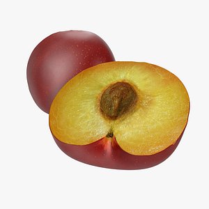 plum half 4 modeled 3d max