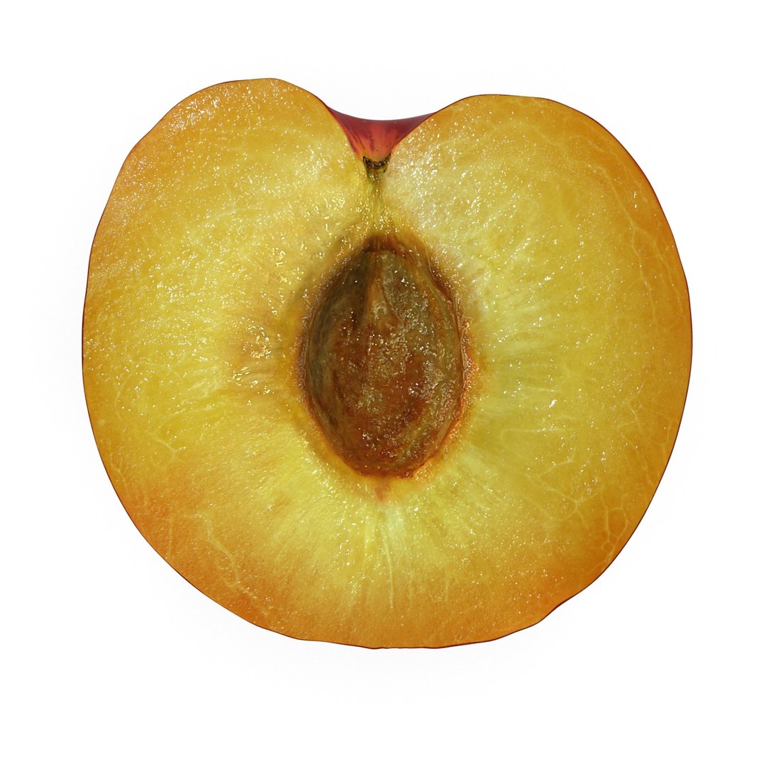 plum half 4 modeled 3d max https://p.turbosquid.com/ts-thumb/kk/eJcjEX/1Ff3cKEi/plumcrosssection3dsmodel08/jpg/1435688817/1920x1080/fit_q87/e684999ea2529944b7cd37cd987ea7fcc799291b/plumcrosssection3dsmodel08.jpg