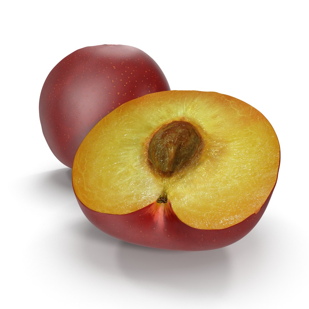 Plum Half 4 3D Model 3D model preview