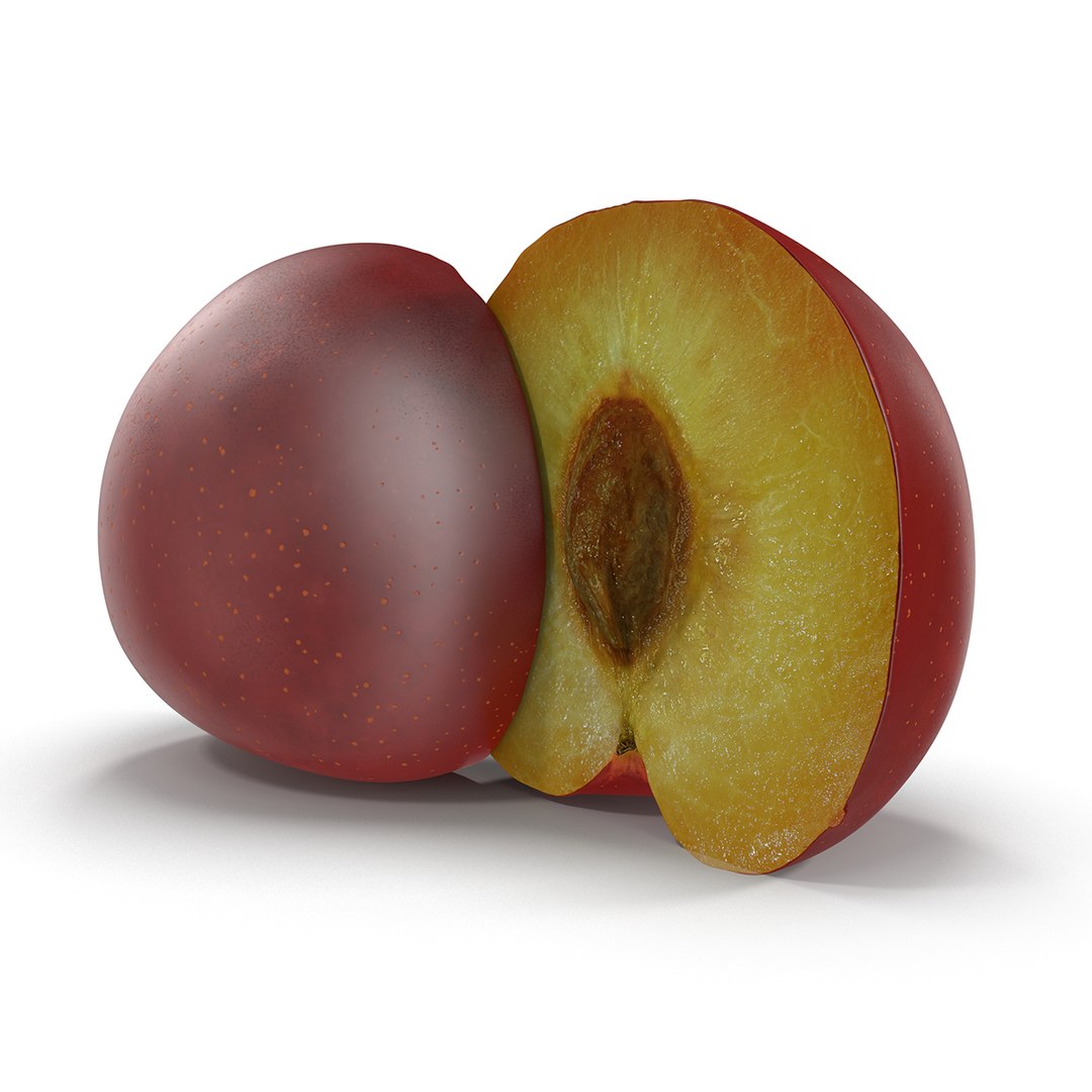 plum half 4 modeled 3d max https://p.turbosquid.com/ts-thumb/kk/eJcjEX/CgoaxTYD/plumcrosssection3dsmodel06/jpg/1435688817/1920x1080/fit_q87/b36db2dedbe58653d9f25ce0a5cd2857261f24d0/plumcrosssection3dsmodel06.jpg