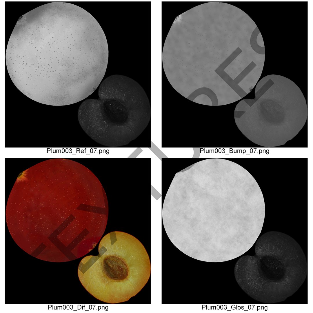 plum half 4 modeled 3d max https://p.turbosquid.com/ts-thumb/kk/eJcjEX/D57AiHdx/plumcrosssection3dsmodel17/jpg/1435688817/1920x1080/fit_q87/3581c83f508bcbd99fc6568ac5a3bc2857f597f5/plumcrosssection3dsmodel17.jpg