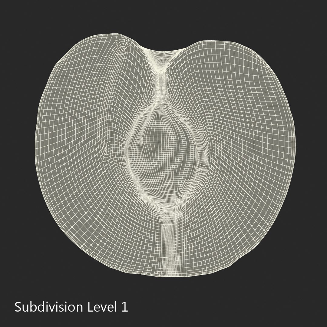 plum half 4 modeled 3d max https://p.turbosquid.com/ts-thumb/kk/eJcjEX/EQRQiOyQ/plumcrosssection3dsmodel15/jpg/1435688817/1920x1080/fit_q87/97df43d1abcba1967184f230143d0801877ef322/plumcrosssection3dsmodel15.jpg