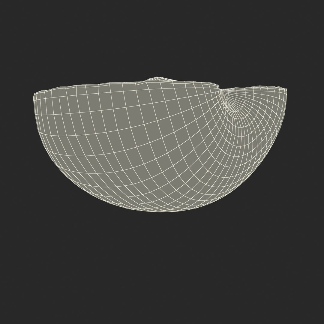 plum half 4 modeled 3d max https://p.turbosquid.com/ts-thumb/kk/eJcjEX/Ul0AMrZX/plumcrosssection3dsmodel21/jpg/1435688818/1920x1080/fit_q87/099c5b039caab2c66042b2bd5c615aebc830c8c1/plumcrosssection3dsmodel21.jpg