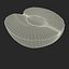 Plum Half 4 3D Model