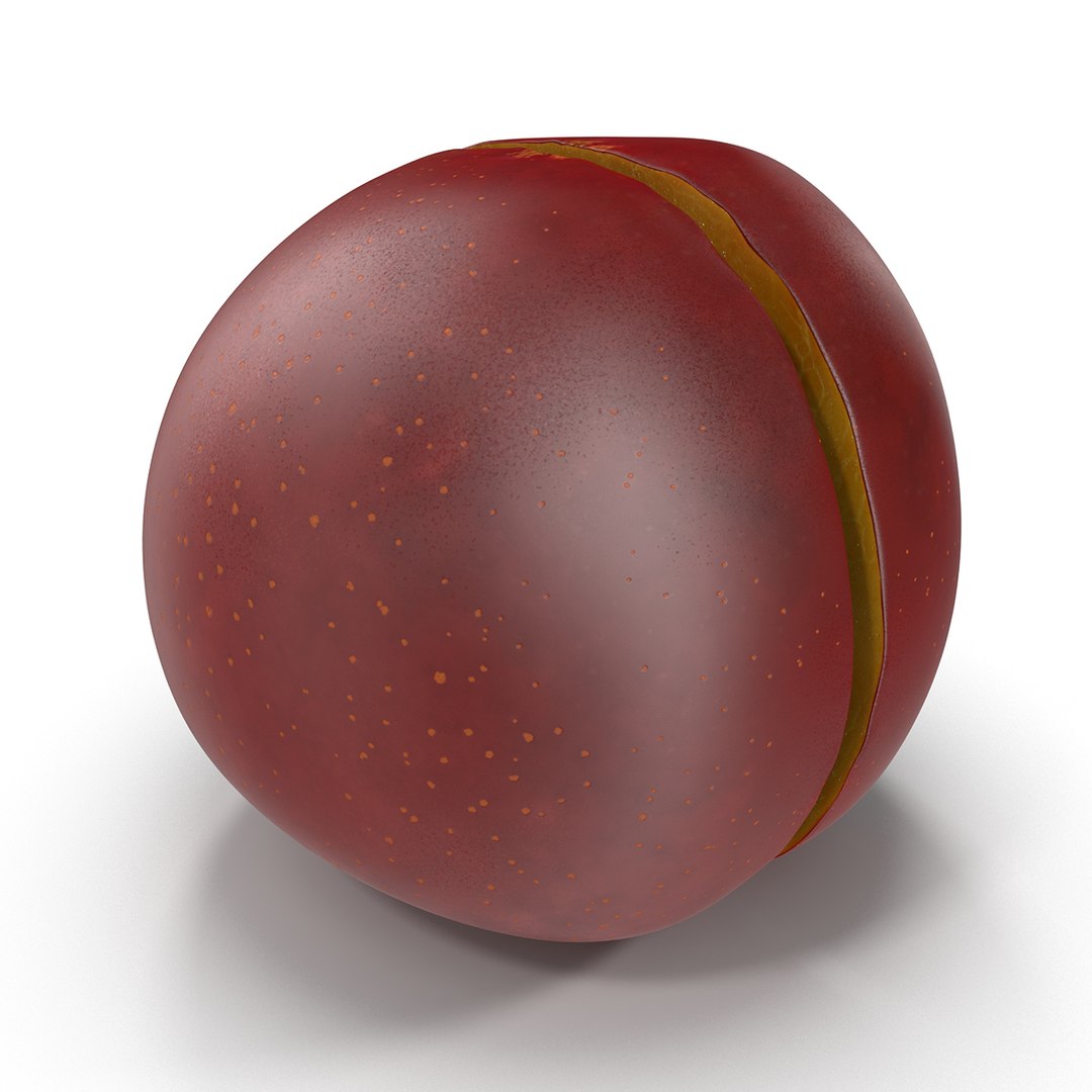 plum half 4 modeled 3d max https://p.turbosquid.com/ts-thumb/kk/eJcjEX/tPJXzY2k/plumcrosssection3dsmodel07/jpg/1435688817/1920x1080/fit_q87/8f3b0c622dca4285b31bc3113dfee3d79b9b9240/plumcrosssection3dsmodel07.jpg