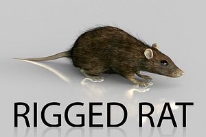 Rigged Rat or Mouse