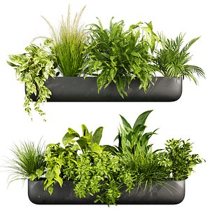 3D plant vol 831 - pampas - box - banana