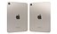 小米 Poco C75 和苹果 iPad Mini 2024
